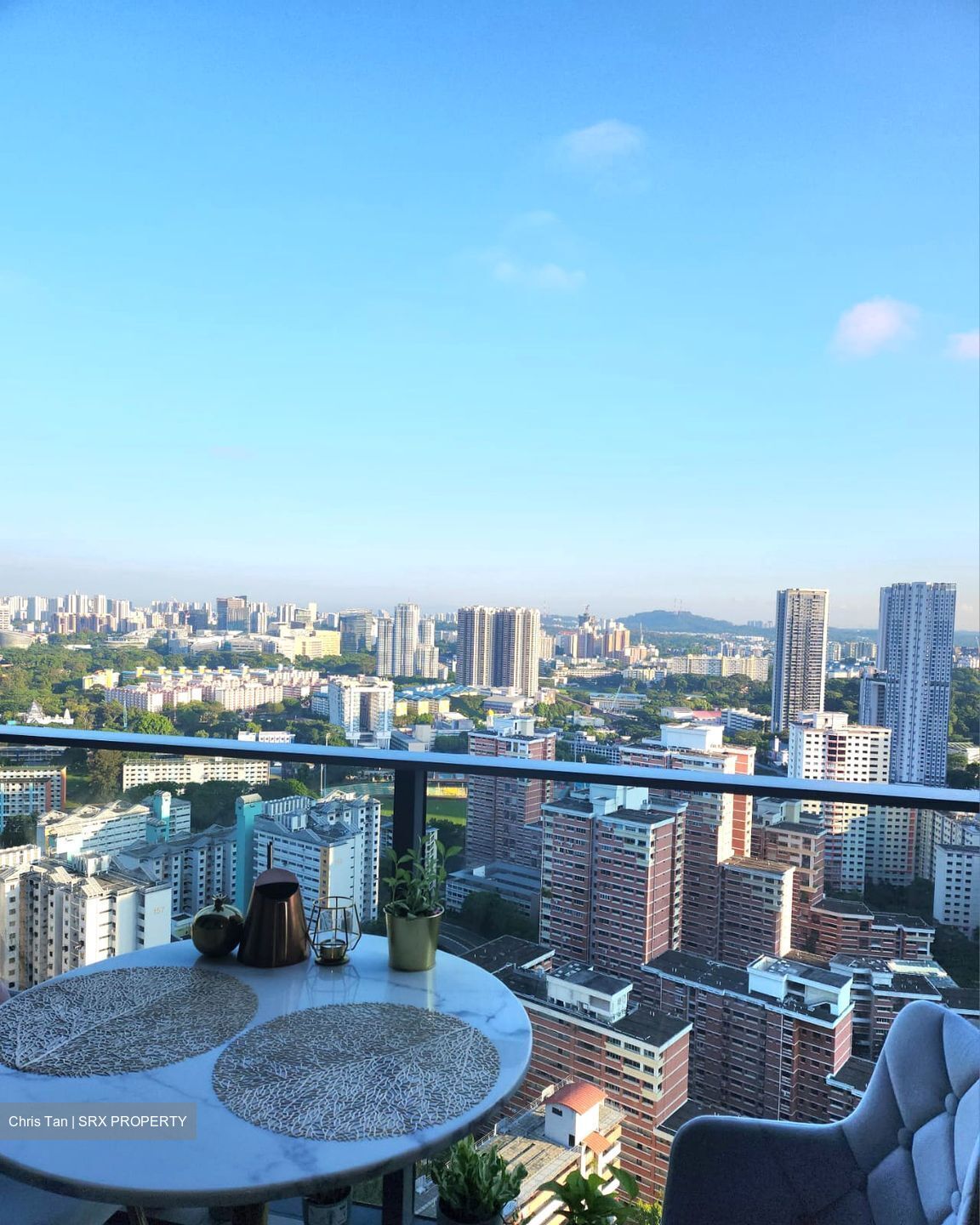 Stirling Residences (D3), Apartment #448674611